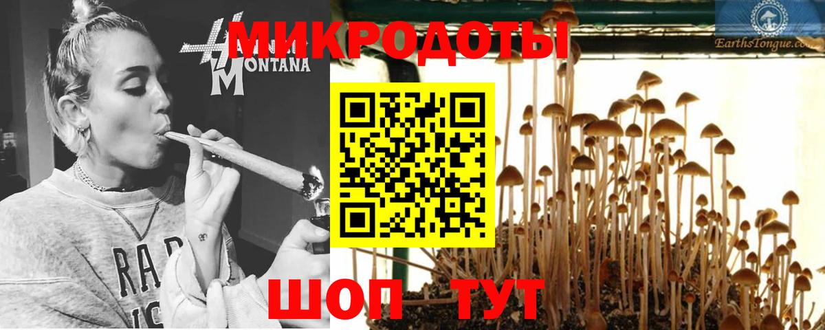 Галлюциногенные грибы Magic Shrooms Алатырь